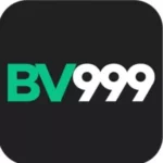 BV999 Game